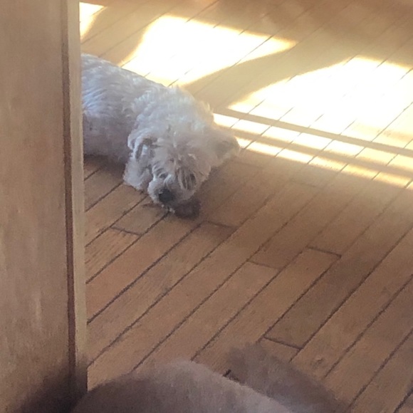 Meet your Posher, Michelle - Picture 1 of 1